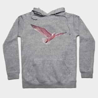 Pink Gull 2 - herring gull painting (no background) Hoodie